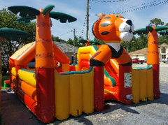 Tiger toddler bounce house in St Augustine, FL
